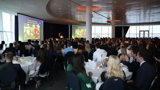 Blue and Golden Globes