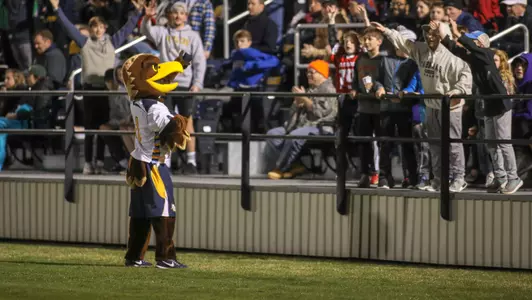 Golden Eagle Marquette Lacrosse