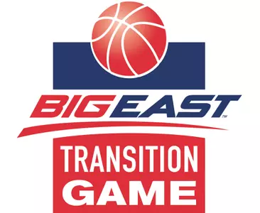 Transition Game logo