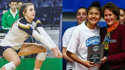 Hamilton and Anchante