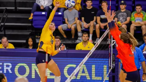 Aubrey Hamilton Iliinois