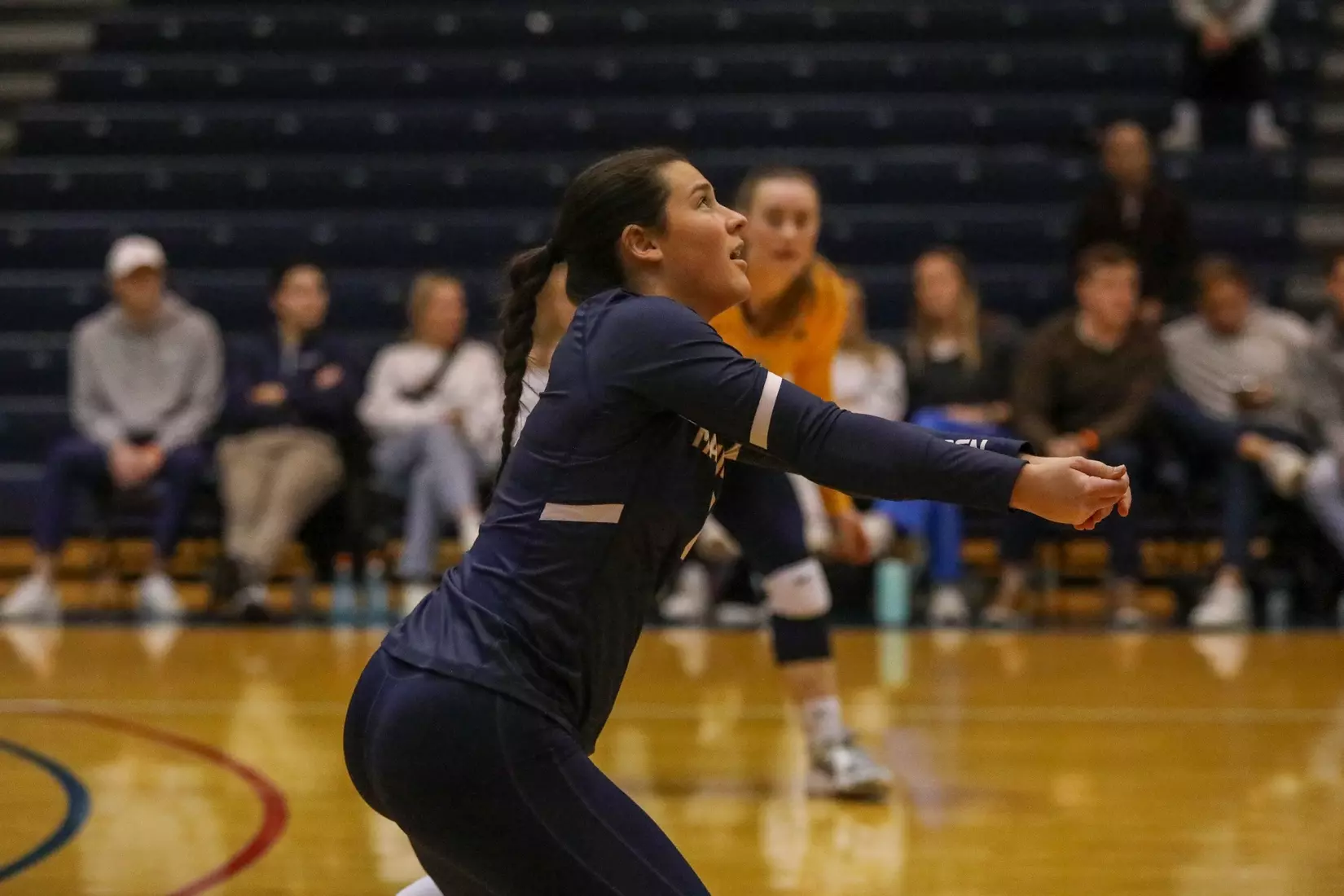 Volleyball at DePaul
