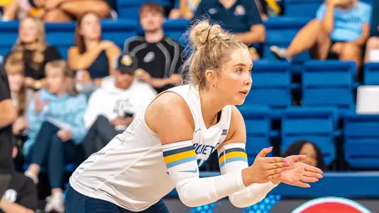 Avery Helms VB