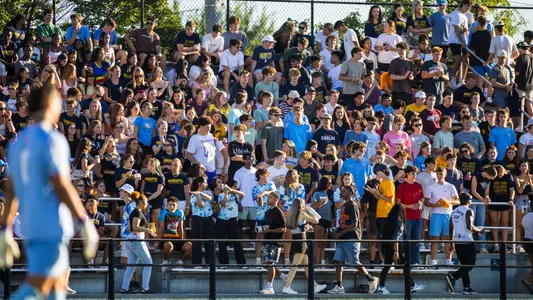 soccer crowd