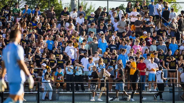 soccer crowd