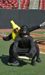 You couldn't tell the players apart with a program Sunday when they took batting practice in costumes, a Halloween tradition.