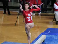 Gymnastics Posts Best Score Since 2004 Image