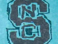 Miesfeld Wins 50-meter Butterfly at Irish Nationals Image