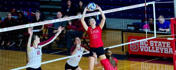 Maggie Speaks Setting FPP