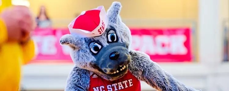 Mr. Wuf