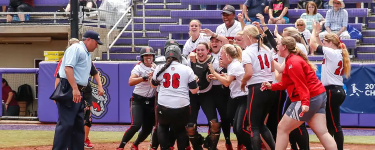 Softball Celebration
