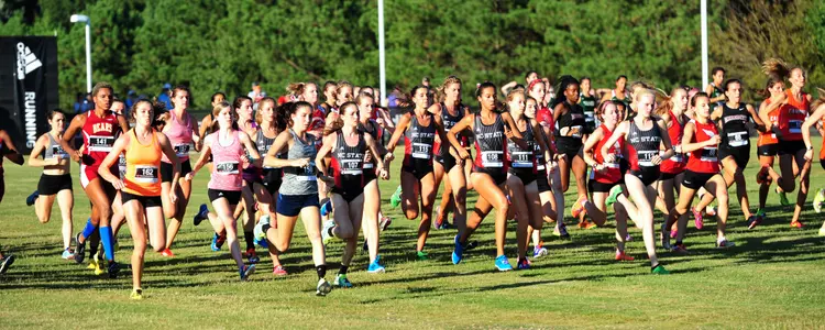 Women's team adidas fpp 2