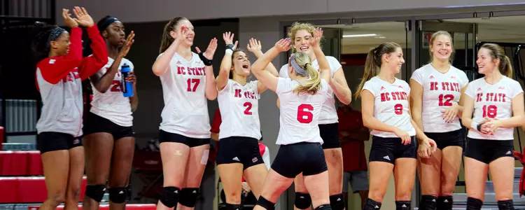 Volleyball Celebration FPP