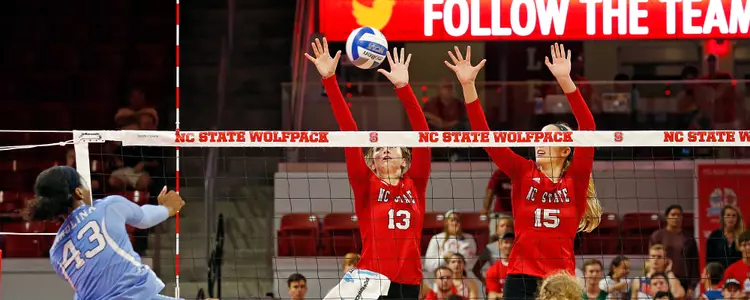 Volleyball Blocking FPP