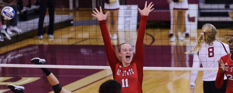 Brown Celebration FPP