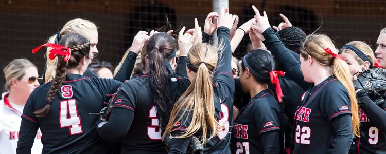 Softball Team Huddle