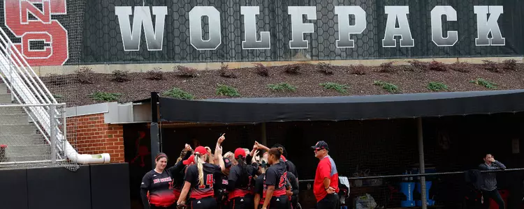 Wolfpack Banner & Team Huddle