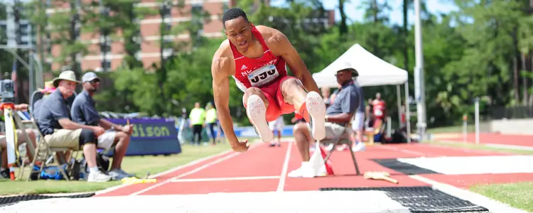 Addison accs outdoors fpp