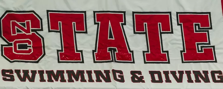 Swim/Dive Flag FPP