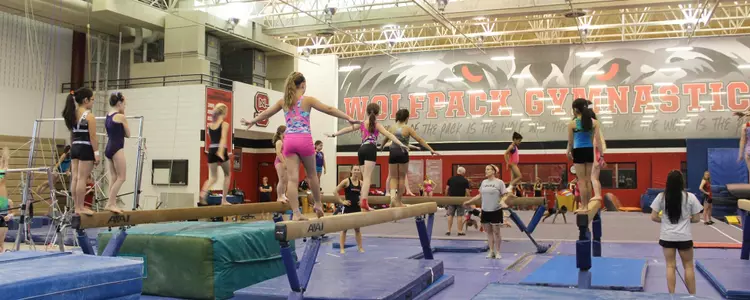 Gymnastics Camp