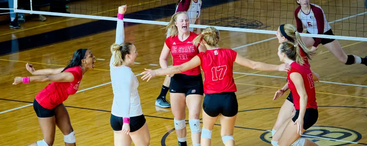 Volleyball Celebration FPP