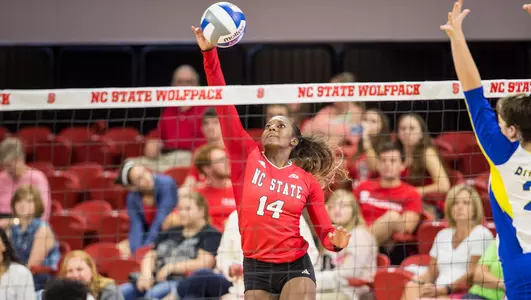 Erin Chatman In Bio Picture