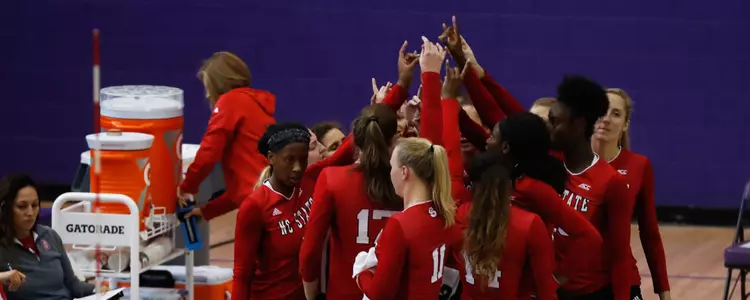 Volleyball Team Huddle FPP