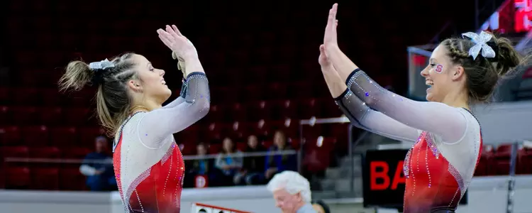 Twins Celebration FPP