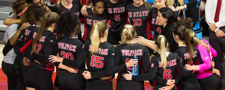 Volleyball Team Huddle FPP