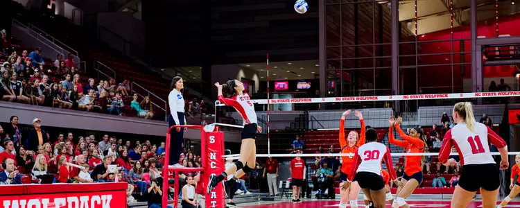 Bree Bailey Action FPP