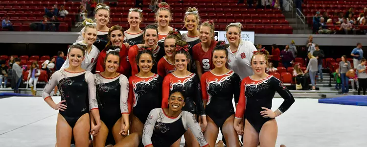 Gymnastics Team