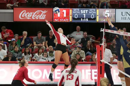 Sarah Konchan Action