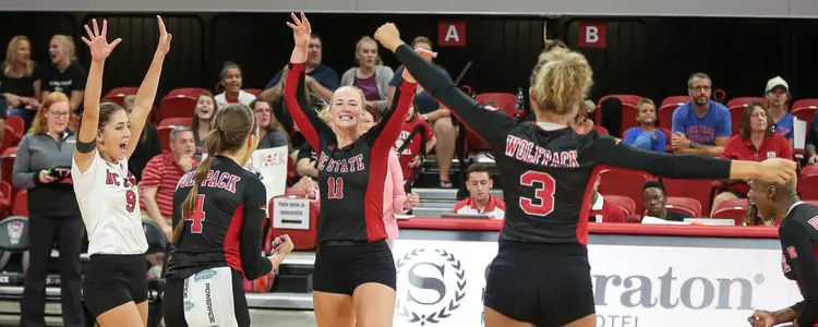 Volleyball Celebration FPP