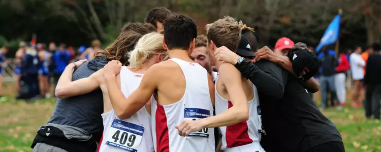 team academic release