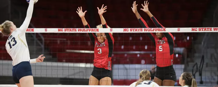 Volleyball Blocking FPP