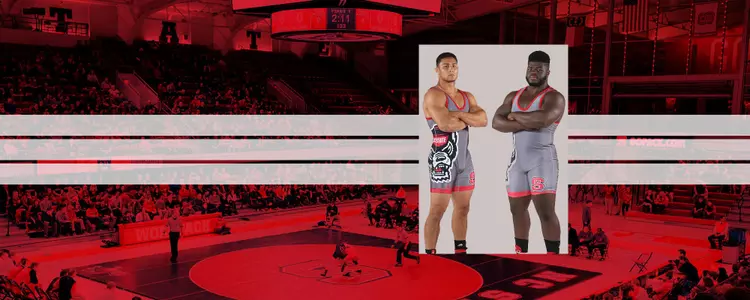 PopIns_Macchiavello_Boykin