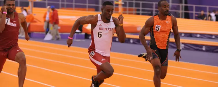 charleston tiger paw