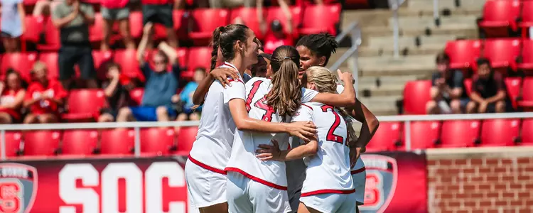 Goal Celebration FPP