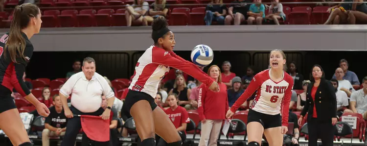 Jade Parchment Passing FPP