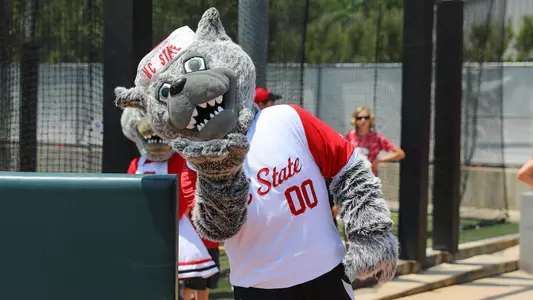 Mr Wuf at Baseball FPP