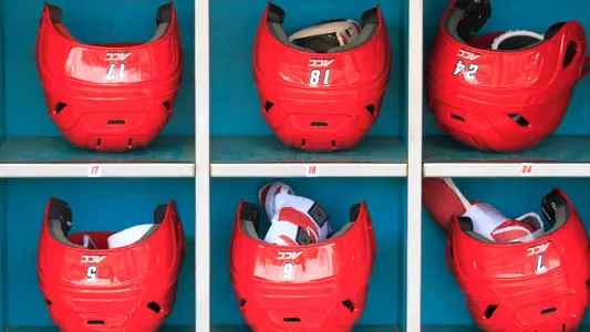 Batting Helmets FPP