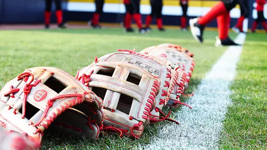 Softball Gloves