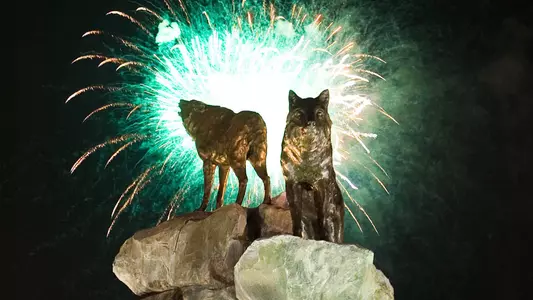 Fireworks
