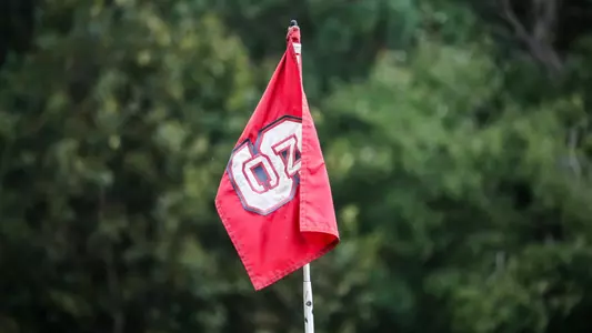 Golf Flag FPP