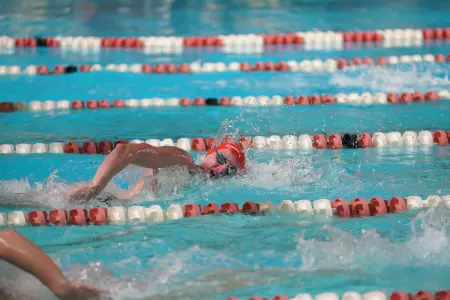 Curtis Wiltsey D Free