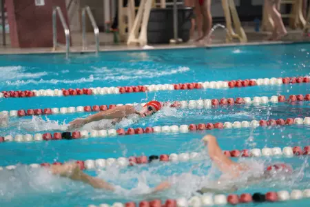 Poole 200 free