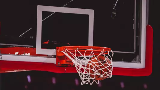 Basketball Hoop Generic