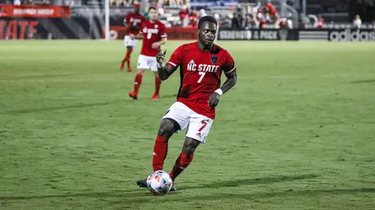 Ivy Brisma Dribble 2021