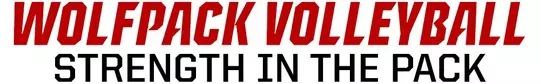 Volleyball Ticket Header