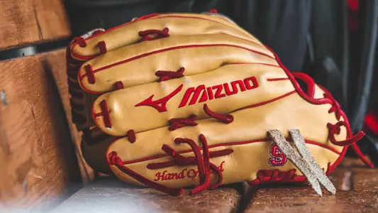 softball glove